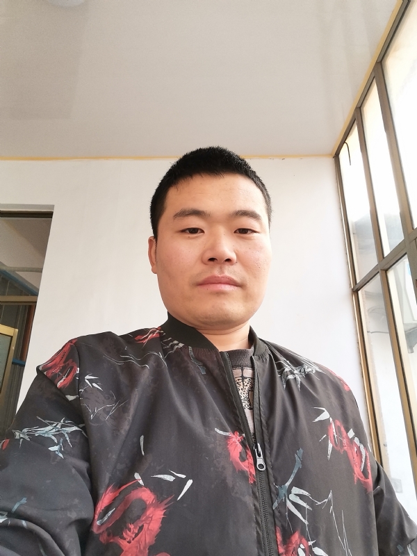 会飞的猪的第一张照片--淄博蓝颜知己交友网